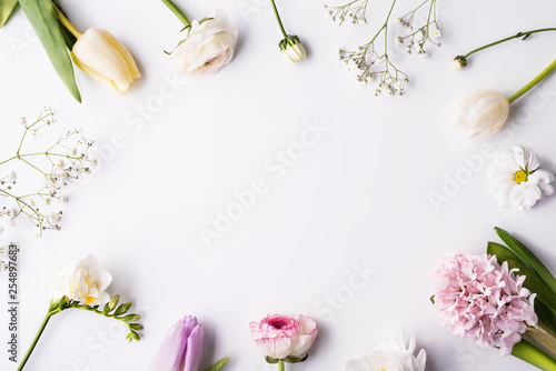 Various spring flowers on a white background. Copy space.