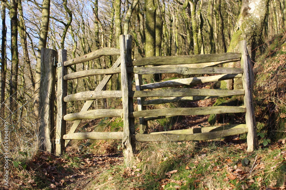 wooden fence in forest wooden fence in forest