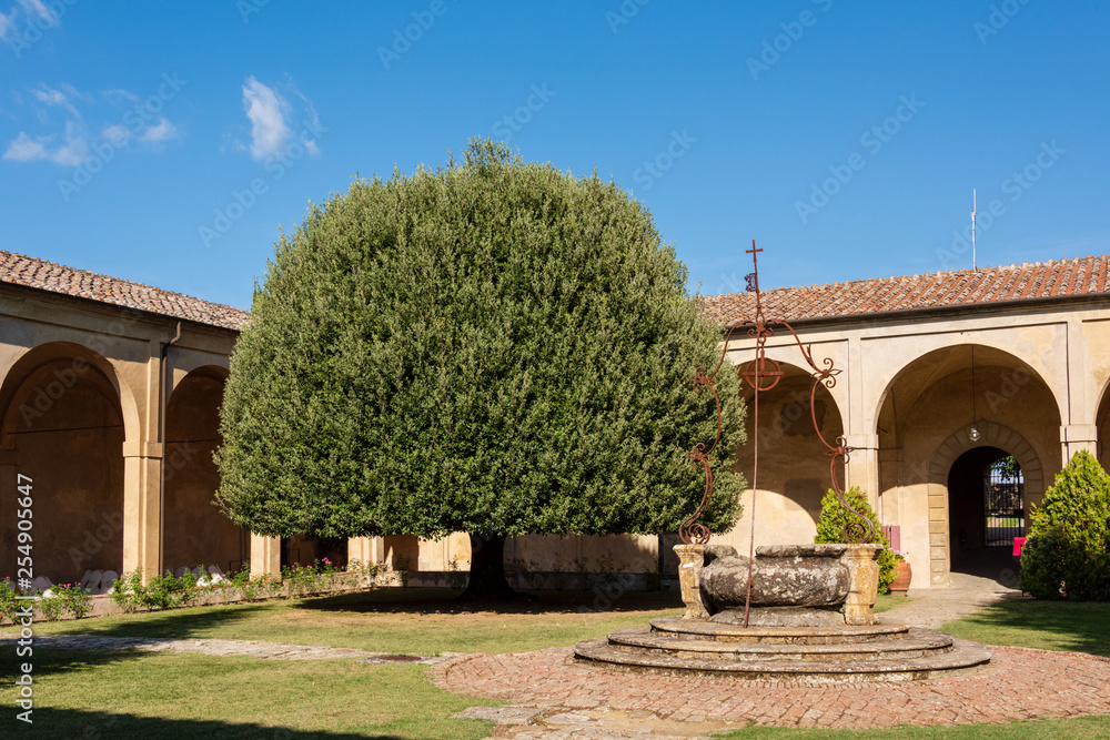 Fototapeta premium Auf einem Hügel nahe Siena befindet sich die Certosa di Pontignano, ein ehemalige Kloster, heute als Gästehaus der Universität Siena. Auch als Tourist kann man sich dort einmieten