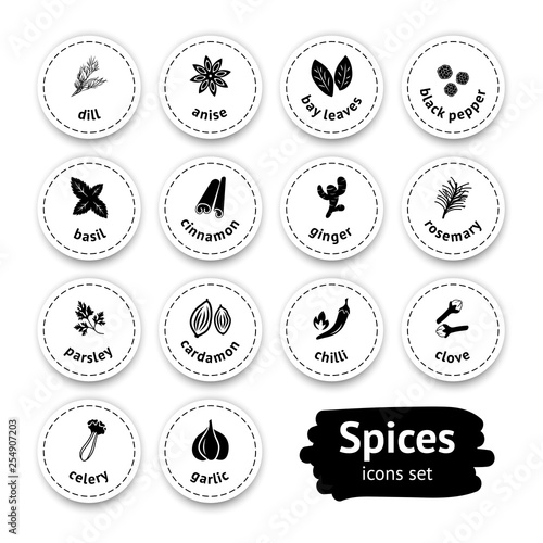 Spices vector icons set