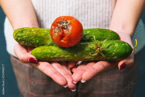 Photography Diseases of cucumbers and tomatoes