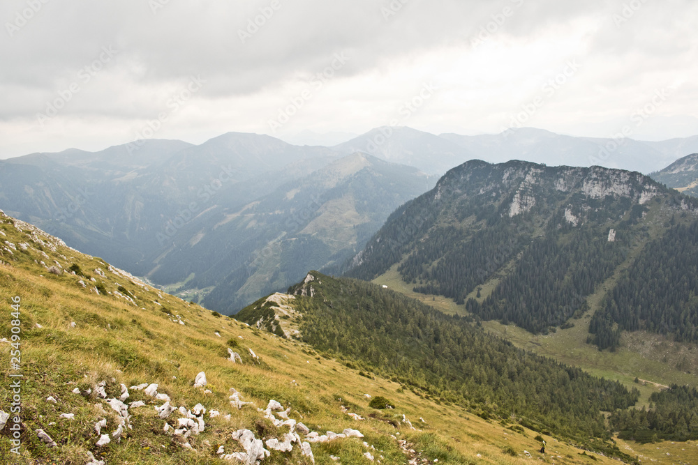 landscape landscape