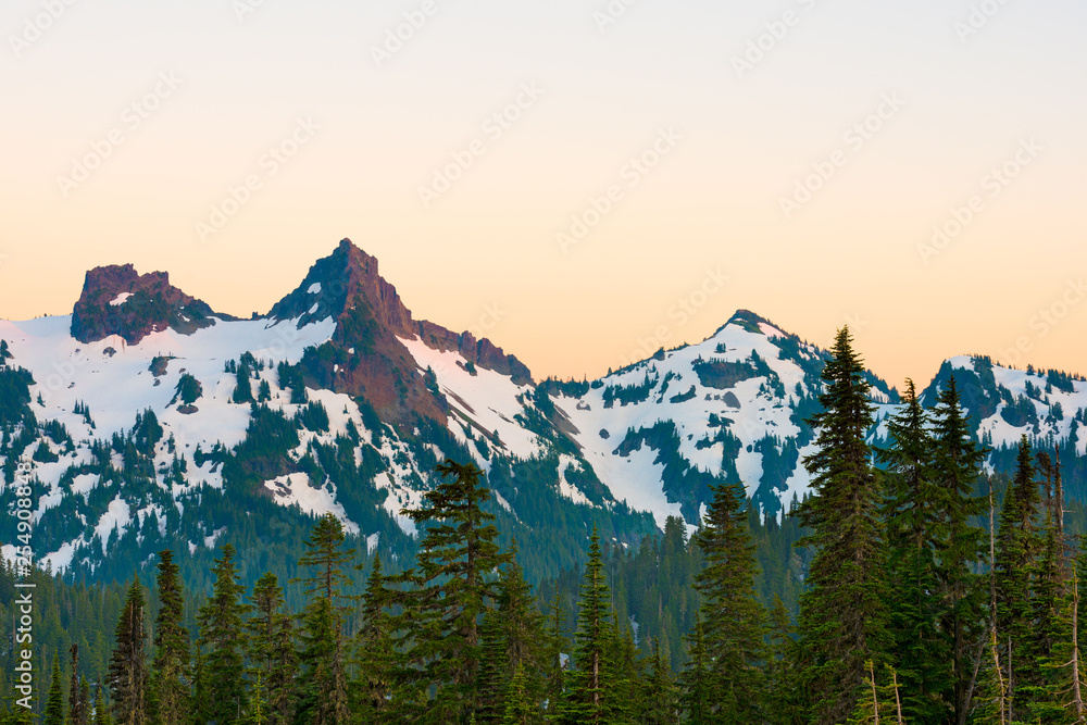 Paradise area at Mount Rainier National Park, Washington State, USA