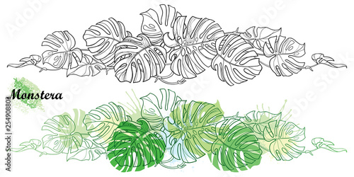Set with outline tropical Monstera or Swiss cheese plant leaf bunch in black and green isolated on white background.