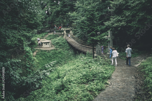 Sochi botanic garden Dendrarium photo