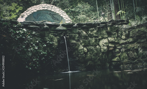 Sochi botanic garden Dendrarium photo