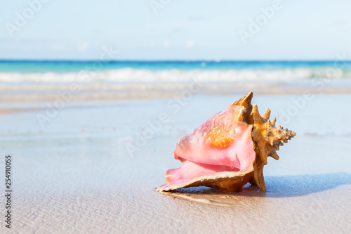 Summer time background