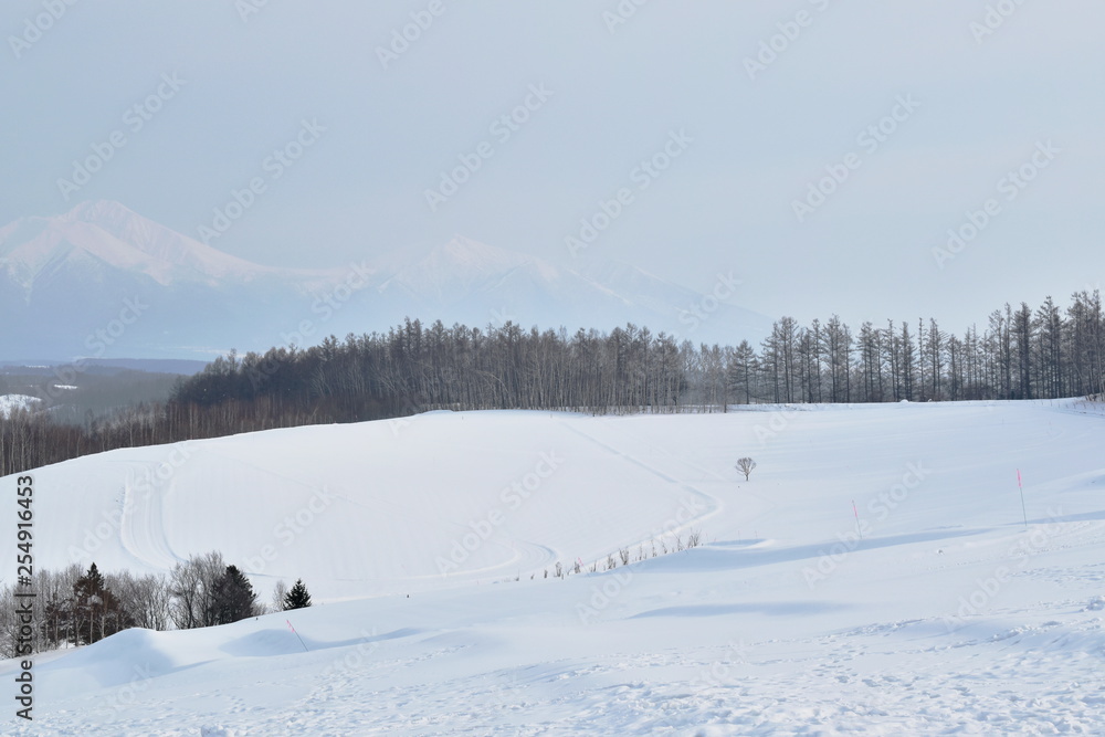 landscape of snow field on mountain in Hokkaido Japan