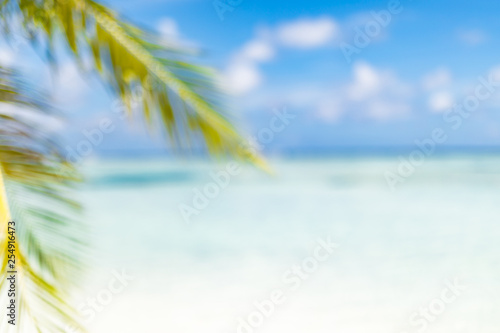 Green nature palm leaf on blur tropical beach with bokeh sun light abstract background. Copy space of outdoor summer vacation and business travel concept