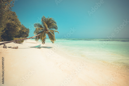 Swing hang from coconut palm tree over summer beach sea background. Idyllic exotic tropical beach landscape  vacation and holiday concept