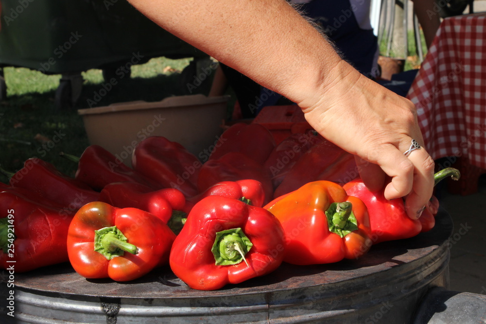 Female hand turning fresh red peppers on the outdoor stove Female hand turning fresh red peppers on the outdoor stove