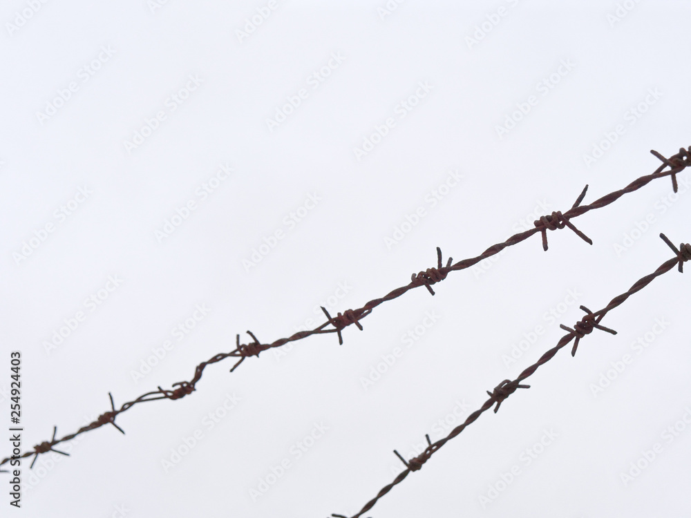 high fence with barbed wire on a white background. high fence with barbed wire on a white background.