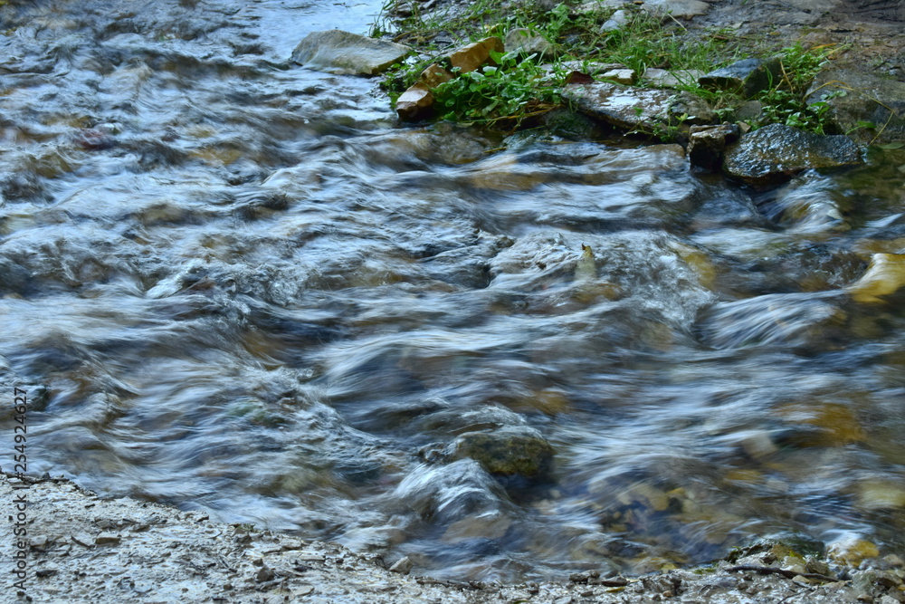 Stream in the forest Stream in the forest