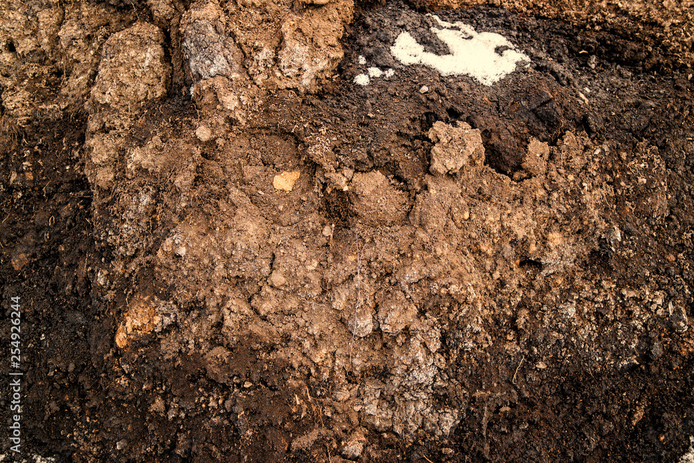 Closeup soil texture. Clay soil. Soil texture background. Abstract ground. Natural abstraction