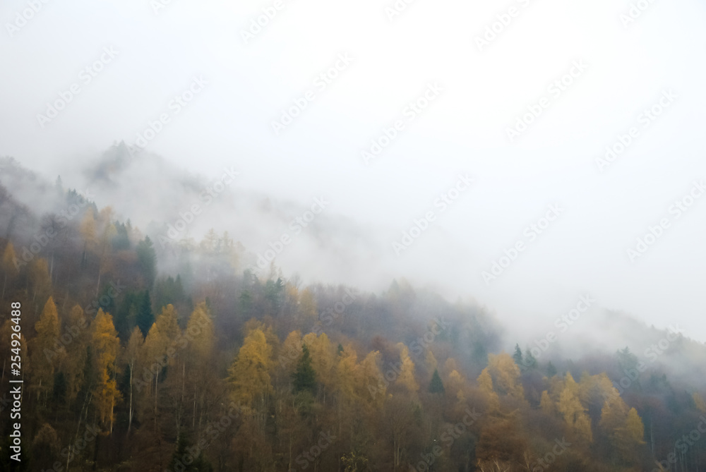 秋の雨の朝の雲が垂れ込めたインターラーケンの山（スイス・ベルン州）