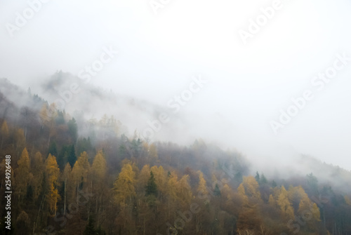 秋の雨の朝の雲が垂れ込めたインターラーケンの山（スイス・ベルン州）