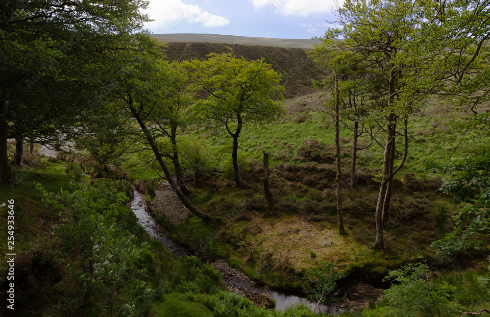 Upland valley with small stream, Druidale, Isle of Man, British Isles Upland valley with small stream, Druidale, Isle of Man, British Isles