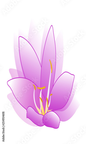 flower drawing illustration vector © turkishblue
