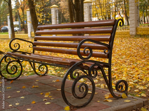 beautiful wooden bench in the Park in autumn