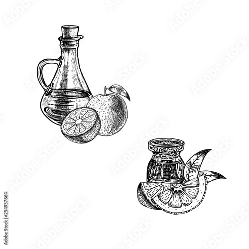 Hand drawn sketch of orange peel oil. Extract of plant. Vector illustration