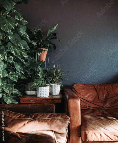 Comfortable sitting area