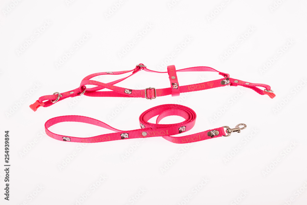 harness and straps for pets on white background harness and straps for pets on white background