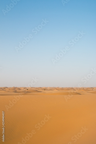 Sch  ne D  nen in der Sahara