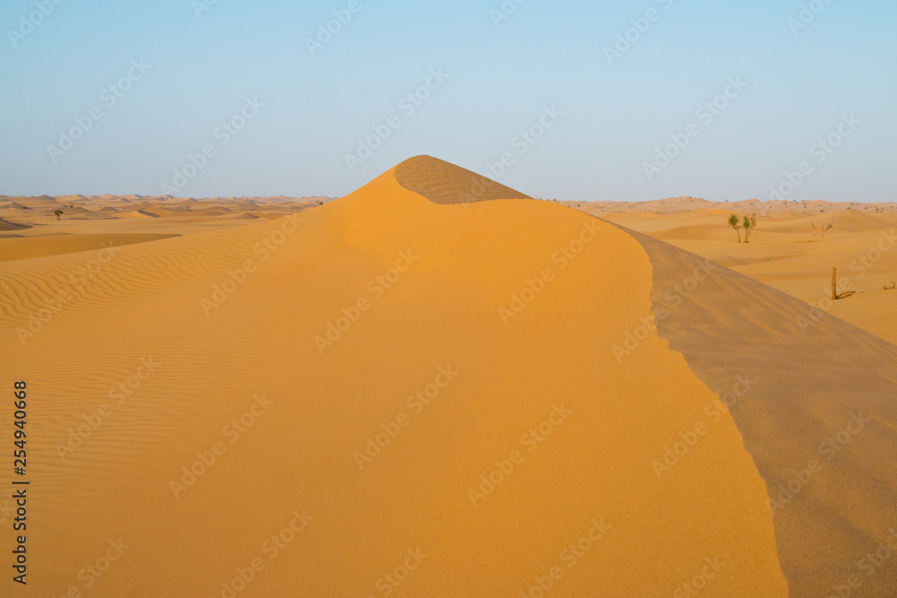 Schöne Düne in der Sahara