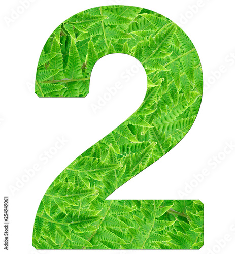 number 2 with fern texture, isolated on white background, font Helvetica World, bold photo
