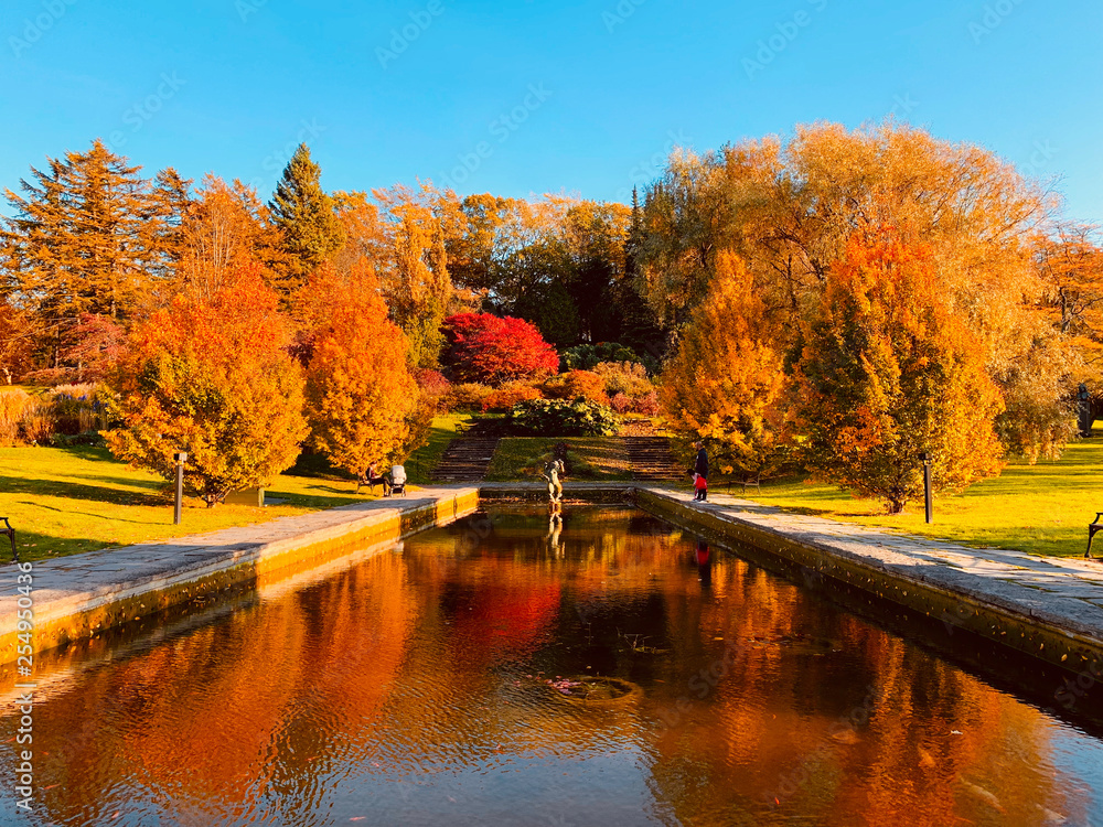 Obraz premium autumn in park