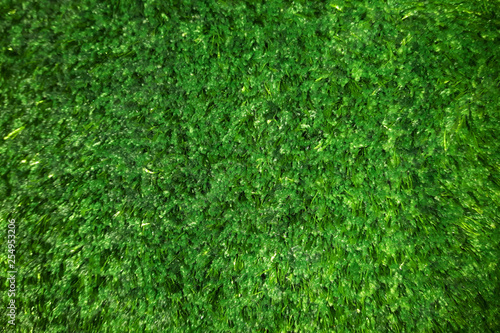 plastic green grass carpet texture