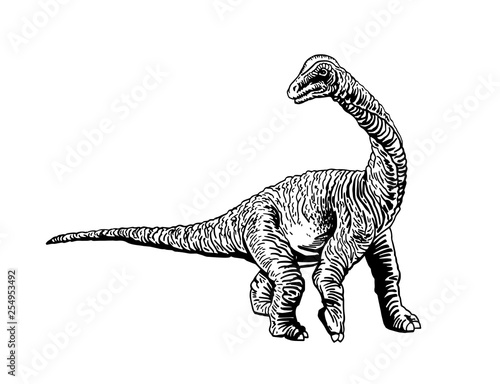 Graphical diplodocus isolated on white background,vector illustration,tattoo