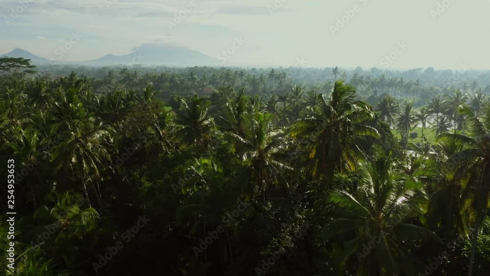 Bali, Ubud in the early morning, view from above. 4k Aerial drone footage Bali, Ubud in the early morning, view from above. 4k Aerial drone footage