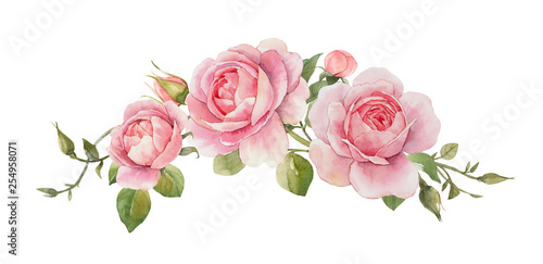 Watercolor rose composition