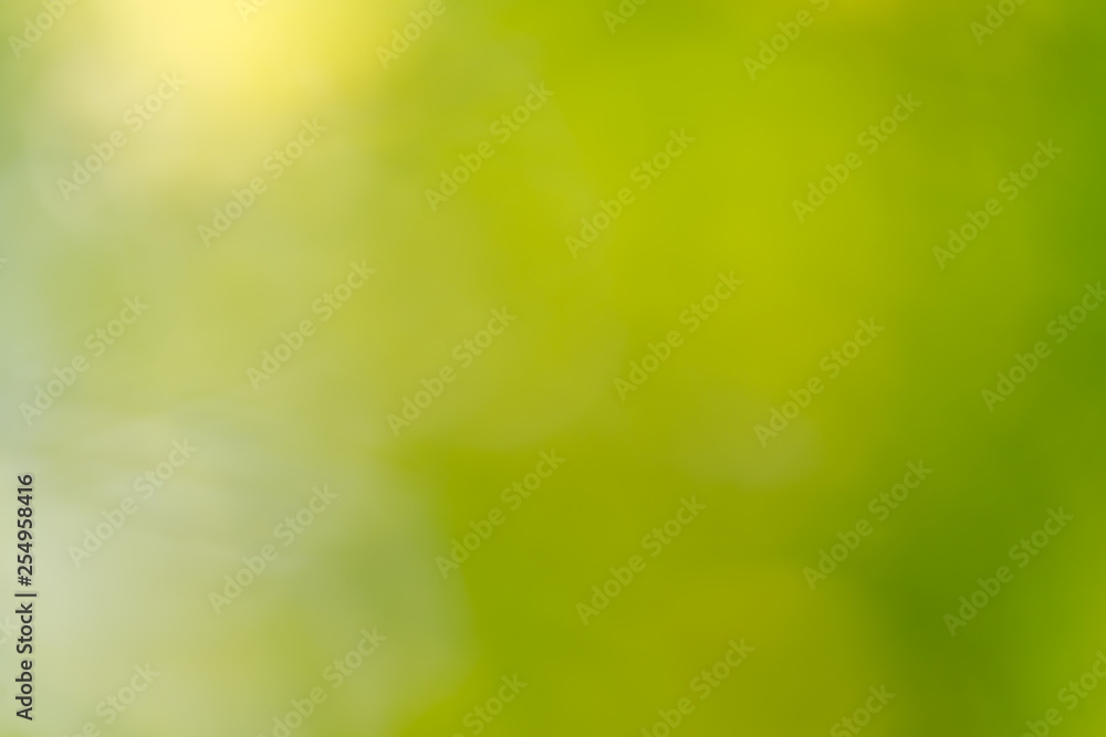 Abstract blur green nature for background,blurred and defocused effect spring concept for design.