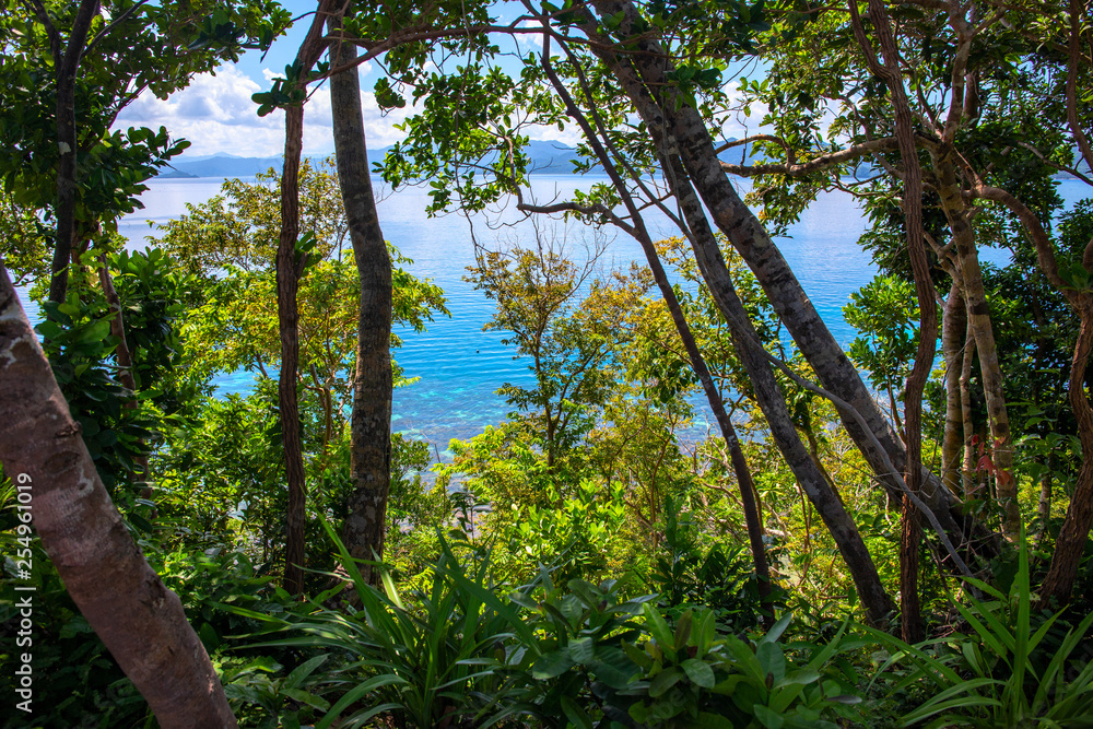 Tropical greenery and turquoise blue sea water landscape. Tropical island nature. Green jungle forest with seaview Tropical greenery and turquoise blue sea water landscape. Tropical island nature. Green jungle forest with seaview