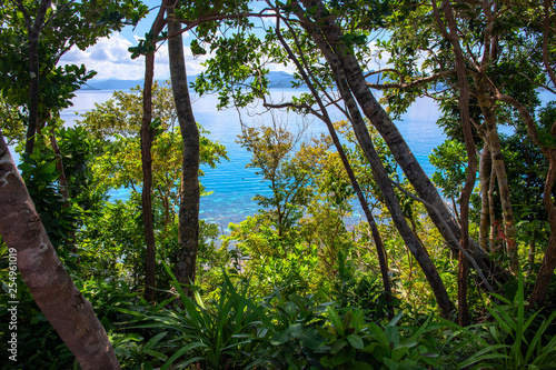 Tropical greenery and turquoise blue sea water landscape. Tropical island nature. Green jungle forest with seaview