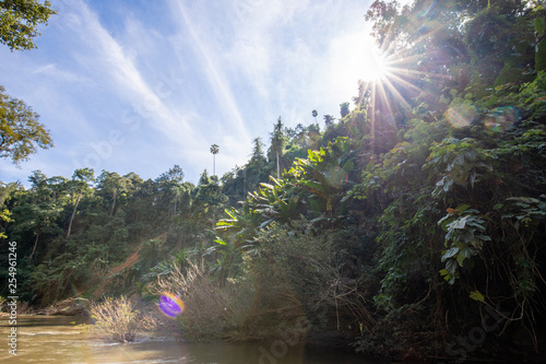 Sonne über Fluss im Dschungel