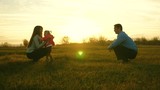 mom and dad play with kid on the grass at sunset. family happiness concept. baby goes on lawn from dad to mom. child takes first steps in park.