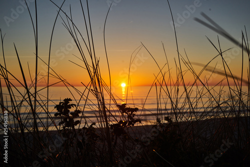 Sonnenuntergang am Strand mit Dünengras