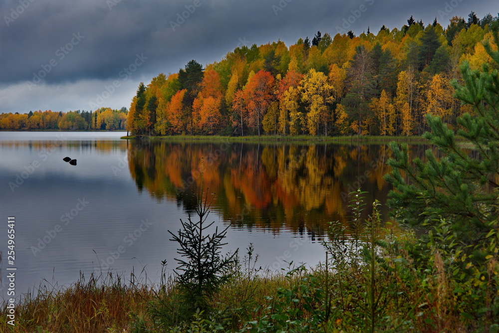 Obraz premium Russia. Republic of Karelia. North-West coast of lake Onega.