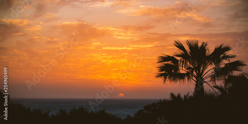 Fototapeta Naklejka Na Ścianę i Meble -  Sonnenuntergang mit Palme