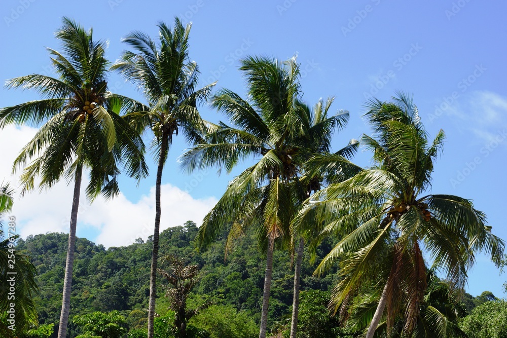 landscape 1 landscape 1
