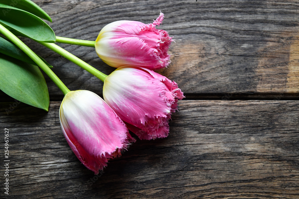 Tulips on old wooden boards.