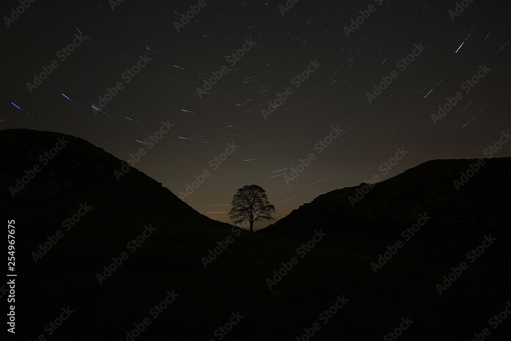 Sycamore Gap tree in Northumberland at night