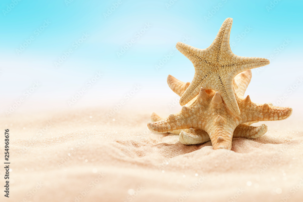 Sea starfish on beach in sand. Beach holiday, summertime background. Colour living coral. Sea starfish on beach in sand. Beach holiday, summertime background. Colour living coral.