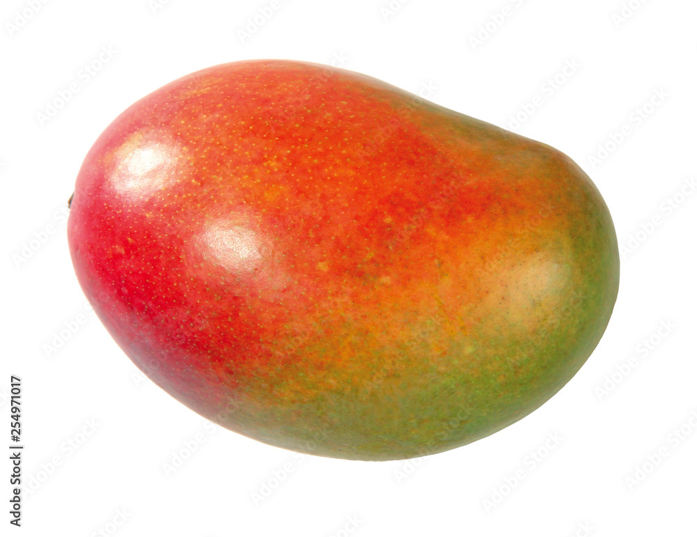 Mango Mango