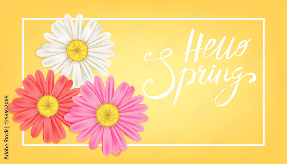 Hello Spring banner. Hand drawn lettering. Background with chamomile, daisy. Spring Time template, flyer, posters, brochure. Happy spring Day. Fashionable styling. Flower vector isolated Hello Spring banner. Hand drawn lettering. Background with chamomile, daisy. Spring Time template, flyer, posters, brochure. Happy spring Day. Fashionable styling. Flower vector isolated