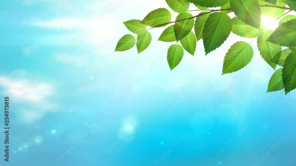 Sunny background with Natural branch with green leaves and blue sky with sunlights and running white clouds. Looped 4K motion graphic. Sunny background with Natural branch with green leaves and blue sky with sunlights and running white clouds. Looped 4K motion graphic.