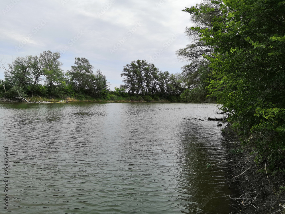 Obraz premium smartcapture